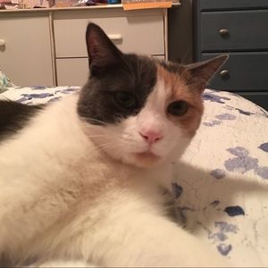 Meet your Posher, Lisa